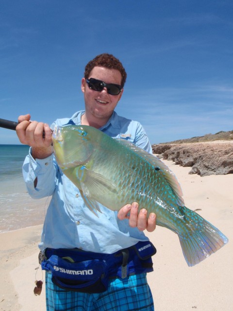 Nice Bluey Nice Bluey